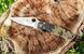 Складаний ніж Spyderco Para Military М фото 2