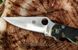 Складаний ніж Spyderco Para Military М фото 4